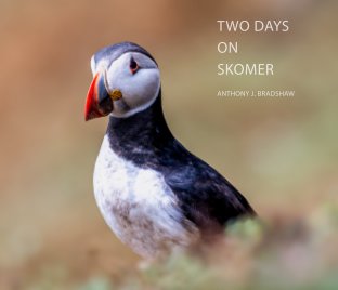 Two Days on Skomer (abridg.) book cover
