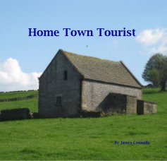 Home Town Tourist book cover