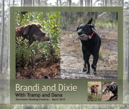Brandi and Dixie book cover