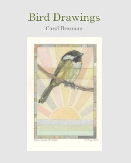 Bird Drawings book cover