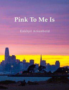 Pink To Me Is book cover