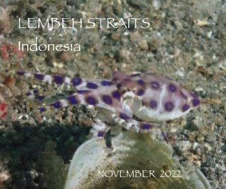 LEMBEH STRAITS Indonesia book cover