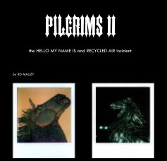 PILGRIMS II book cover