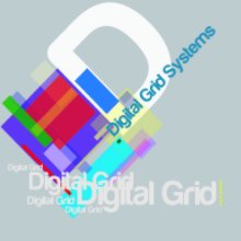 Digital Grid Systems | 2010 book cover
