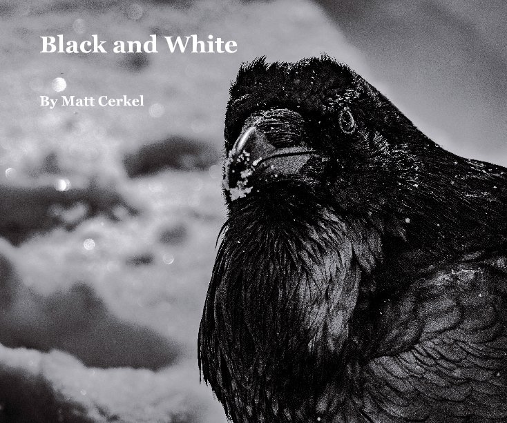 Black and White nach Matt Cerkel anzeigen