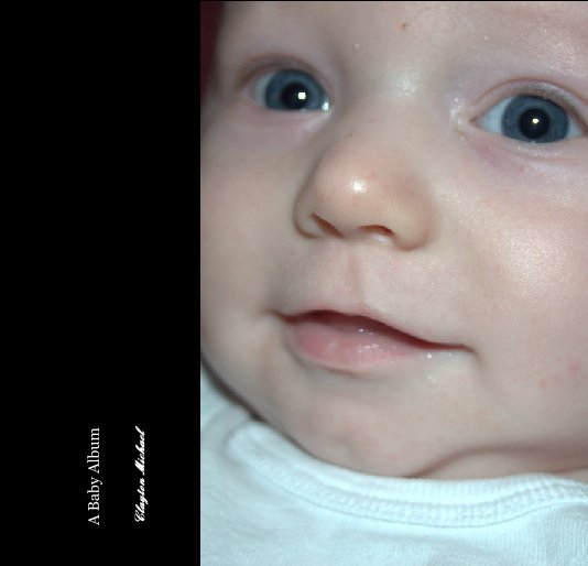 View A Baby Album by Elizabeth S. Spitzer