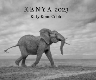 Kenya 2023 book cover
