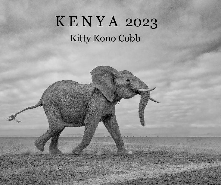View Kenya 2023 by Kitty Kono Cobb