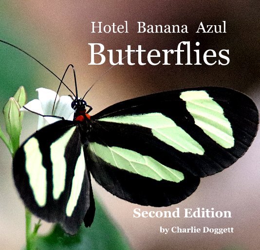 View Hotel Banana Azul Butterflies by Charlie Doggett