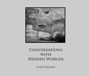 Conversations with Hidden Worlds book cover