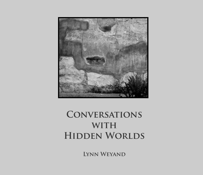 View Conversations with Hidden Worlds by Lynn Weyand
