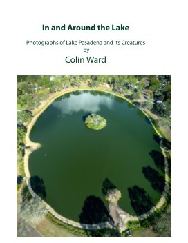 In and Around the Lake book cover