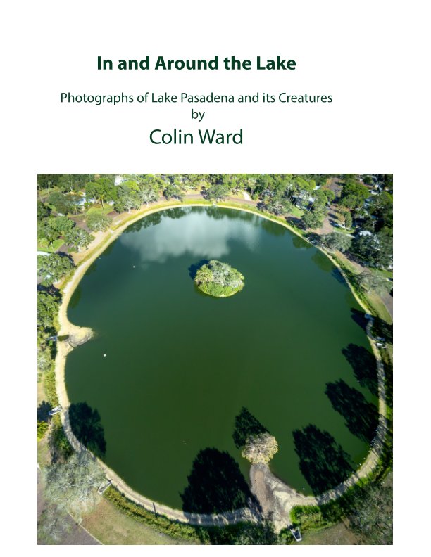 Ver In and Around the Lake por Colin Ward