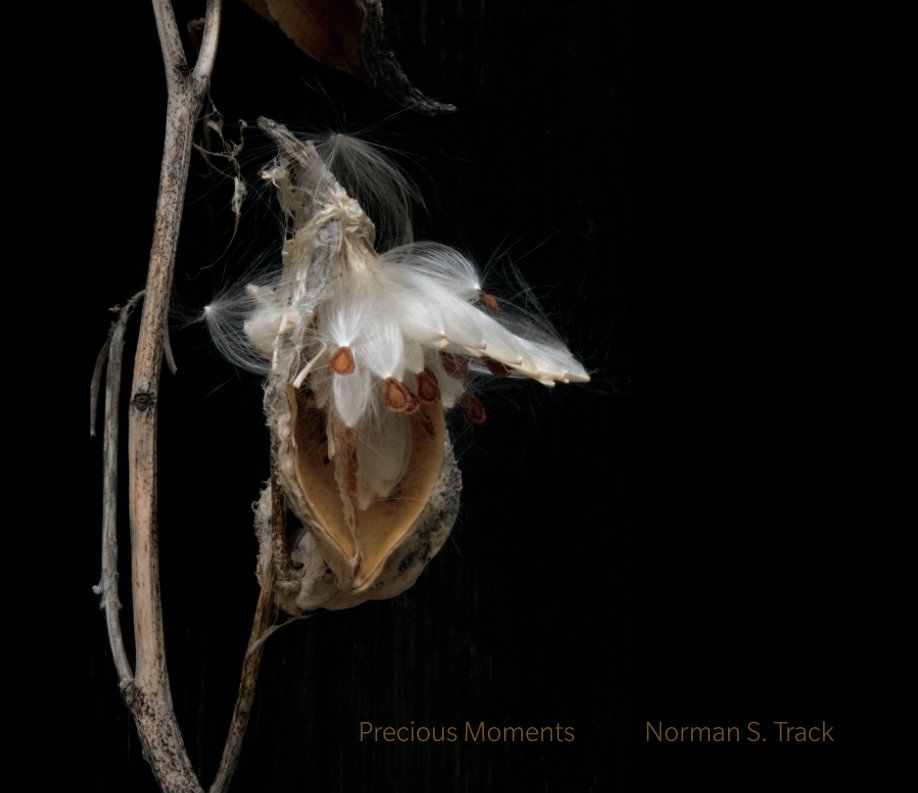 Visualizza Precious Moments di Norman S. Track