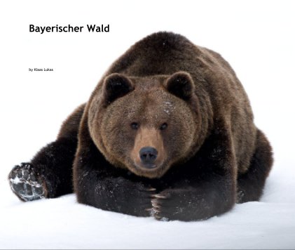 Bayerischer Wald book cover