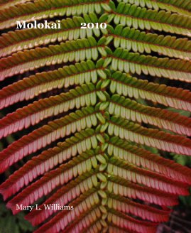 Molokai 2010 book cover