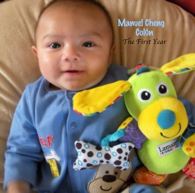 Manuel's First Year book cover