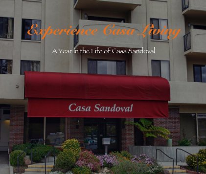 Experience Casa Living book cover