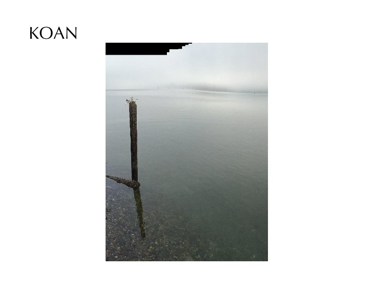 View Koan by Edwin Maynard