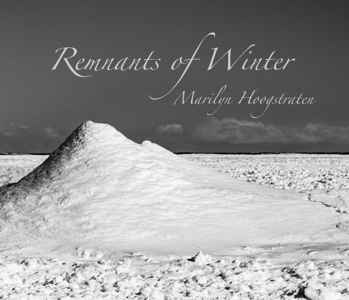View Remnants of Winter by Marilyn Hoogstraten