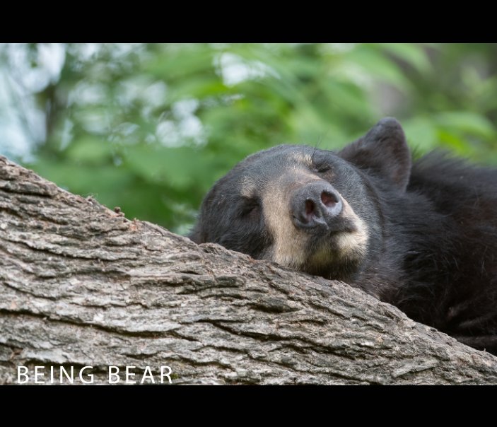 Ver Being Bear por Bruce Leventhal