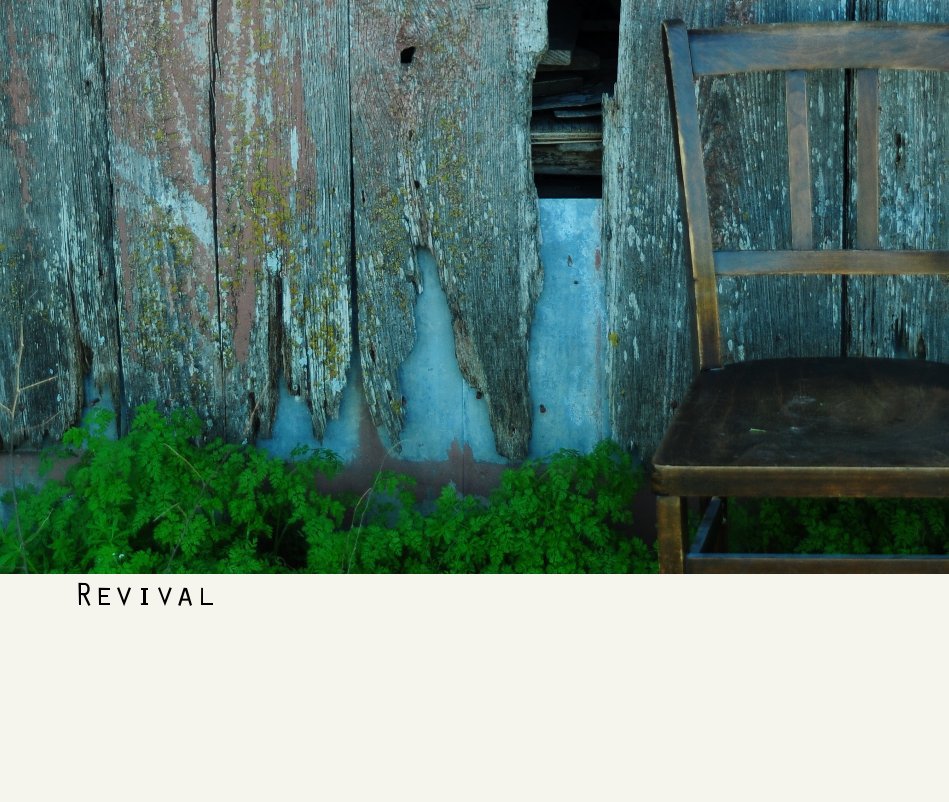 View Revival by Haylei Culberth