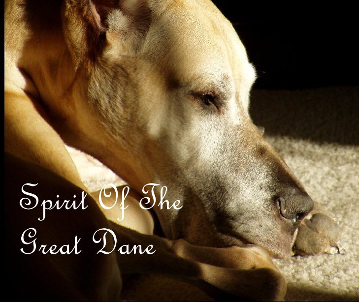 View Spirit Of The Great Dane by Jenni Arnold