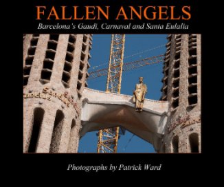 FALLEN ANGELS book cover
