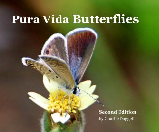 Pura Vida Butterflies book cover