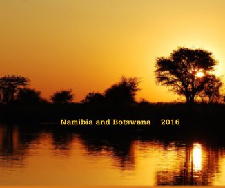 Namibia and Botswana 2016 book cover