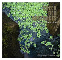 Creek Bed Abstracts book cover