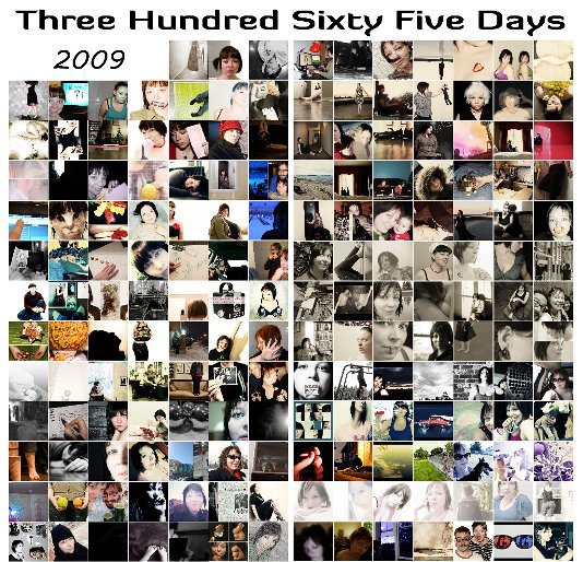 Ver Three Hundred Sixty Five Days 2009 por Susan J Knight