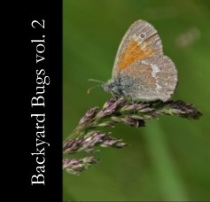 Backyard Bugs vol. 2 book cover