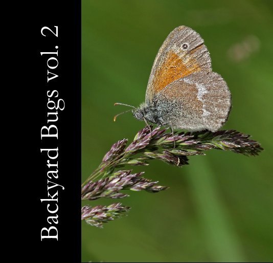 View Backyard Bugs vol. 2 by Dann Thombs