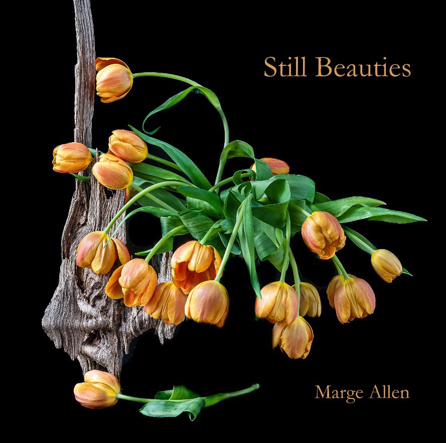 View Still Beauties by Marge Allen