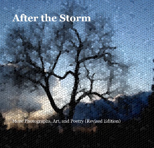 Ver After the Storm por Wayne Lougee