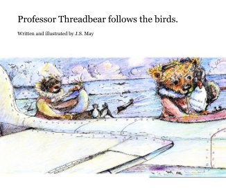 Professor Threadbear follows the birds. book cover