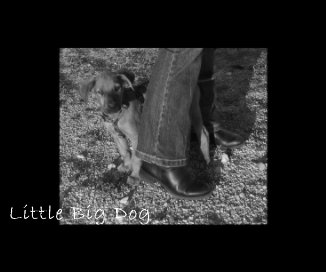 Little Big Dog book cover