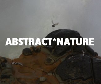 ABSTRACT*NATURE book cover
