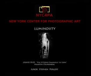 Luminosity book cover