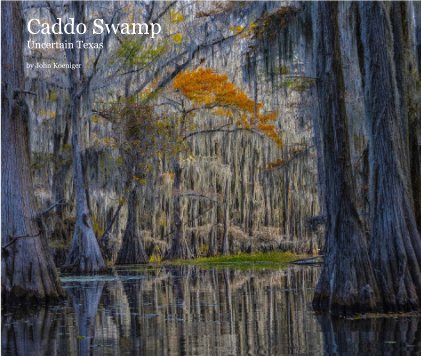 Caddo Swamp Uncertain Texas book cover