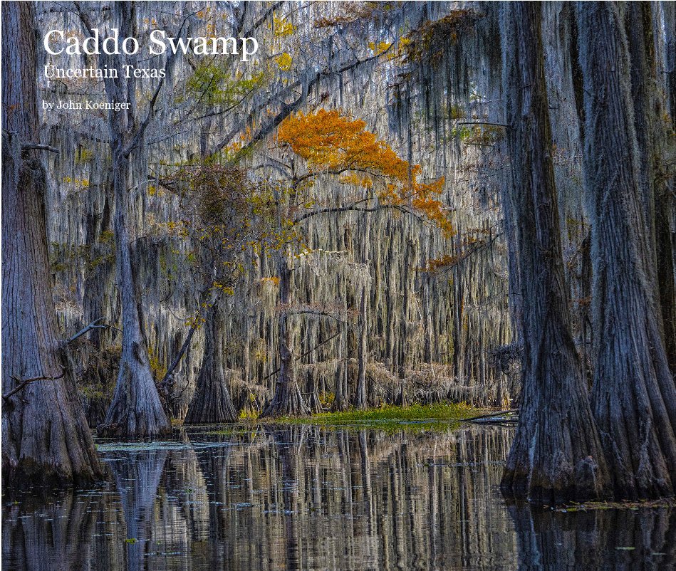 Caddo Swamp Uncertain Texas nach John Koeniger anzeigen