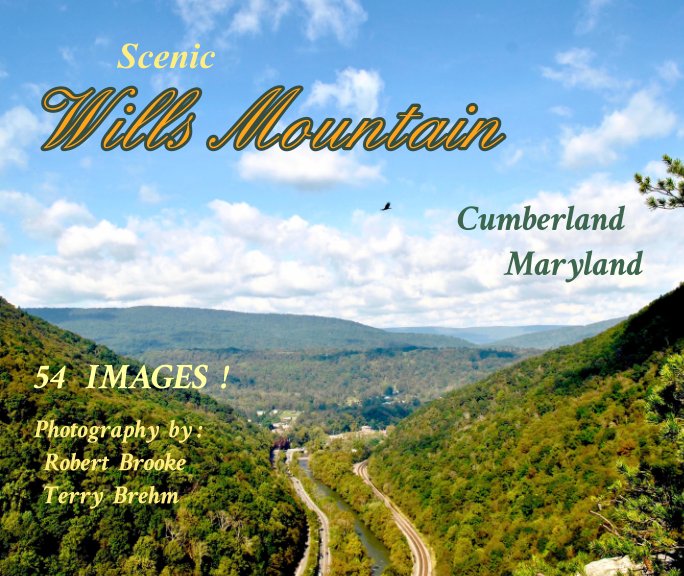 View Scenic Wills Mountain by Robert  Brooke, Terry  Brehm