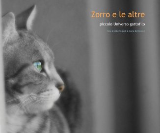 Zorro e le altre book cover