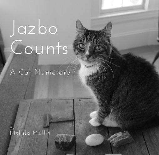 View Jazbo Counts by Melissa Mullin