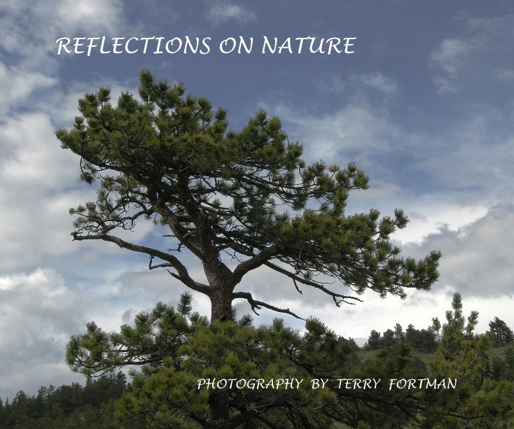 View REFLECTIONS ON NATURE by TERRY FORTMAN