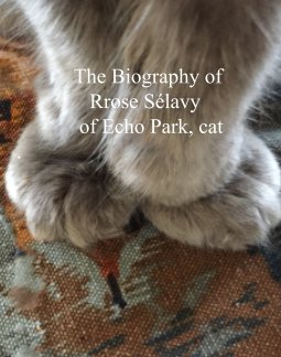 The Biography of Rrose Selavy, cat book cover