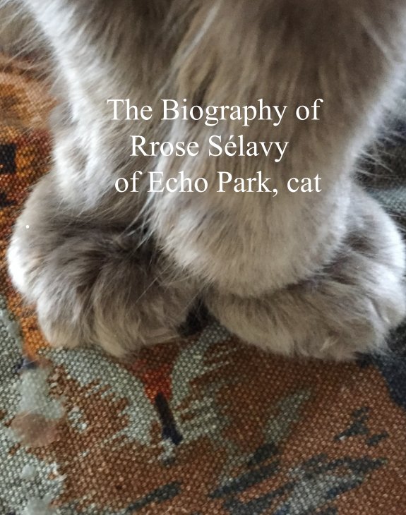 Ver The Biography of Rrose Selavy, cat por Sarah E Starr