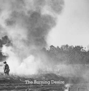The Burning Desire book cover