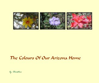 The Colours Of Our Arizona Home book cover